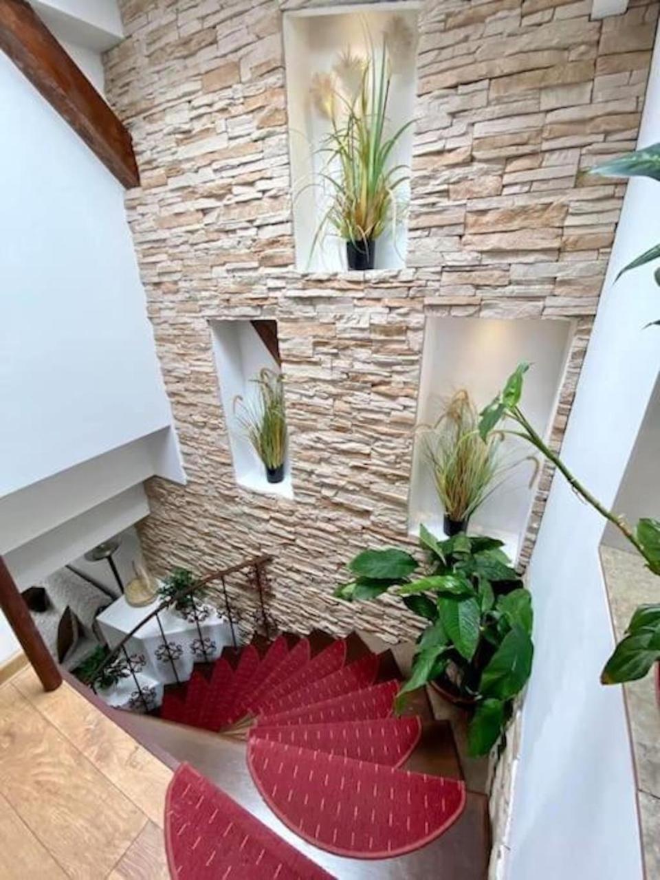 טימישוארה Grazia Apartment מראה חיצוני תמונה