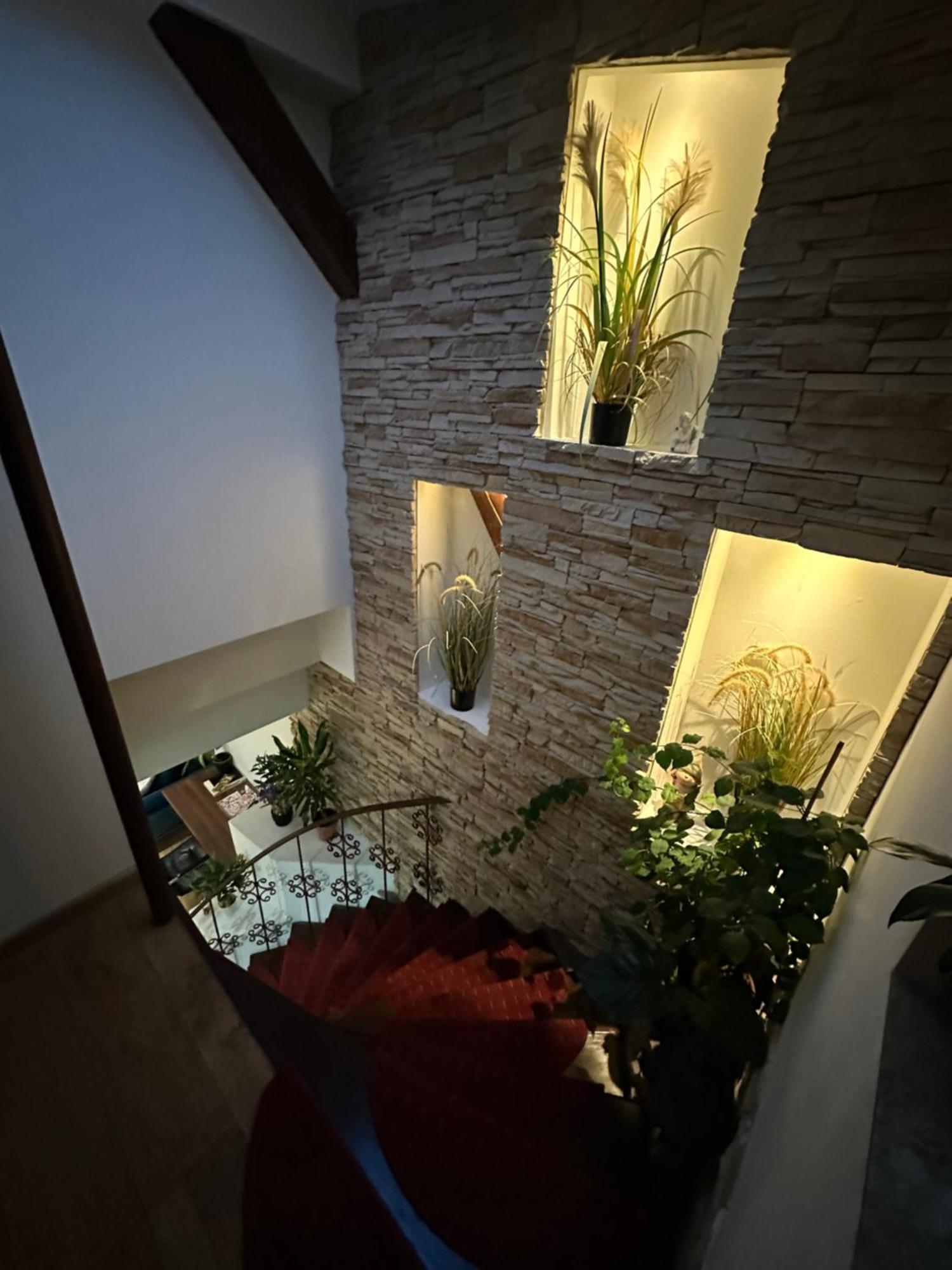 טימישוארה Grazia Apartment מראה חיצוני תמונה
