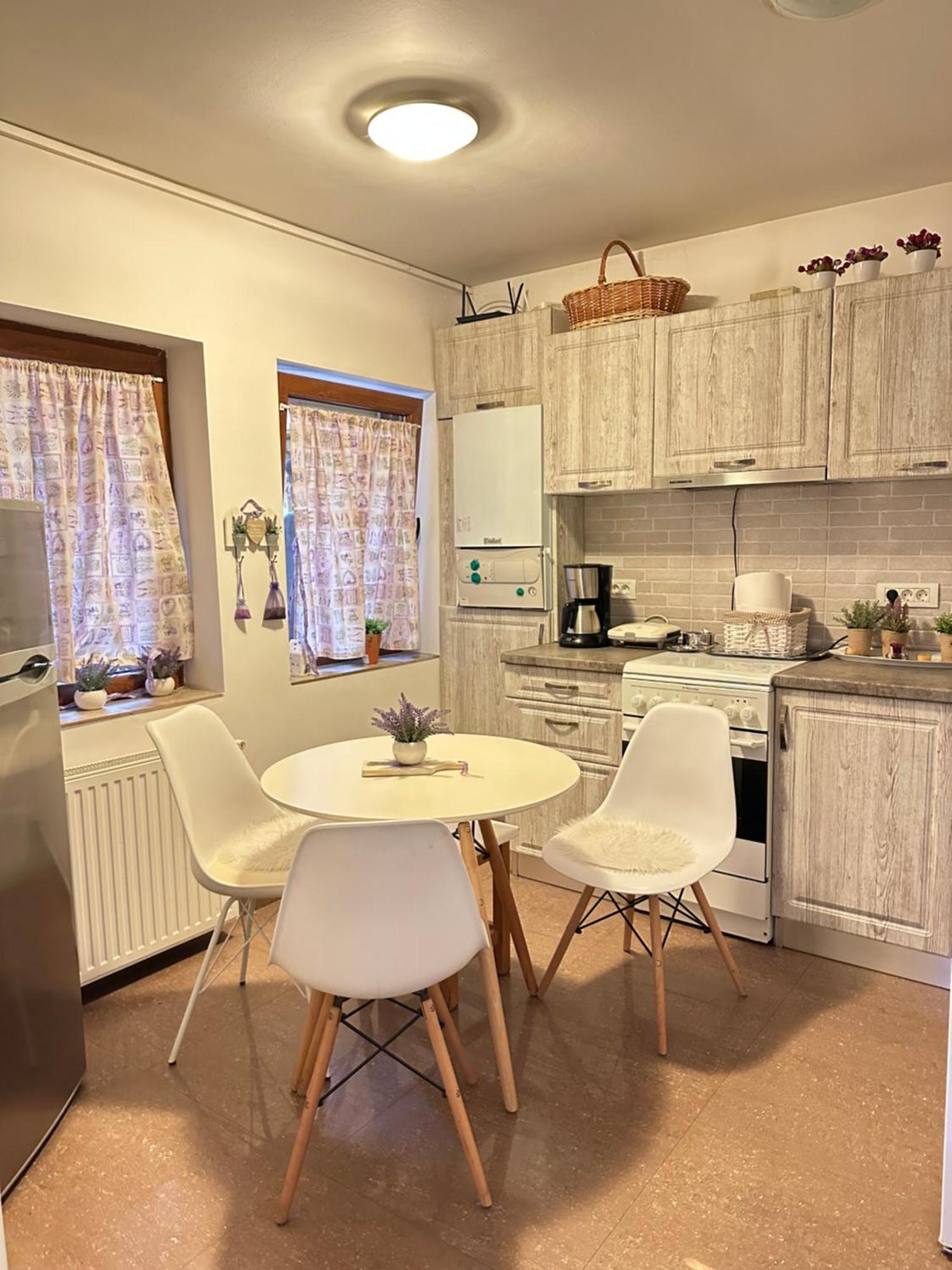 טימישוארה Grazia Apartment מראה חיצוני תמונה